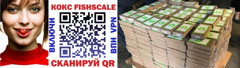 Cocaine FishScale  Реутов 