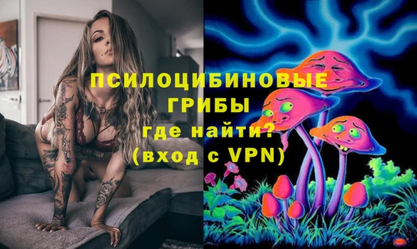 spice Беломорск