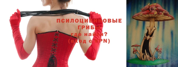 spice Беломорск