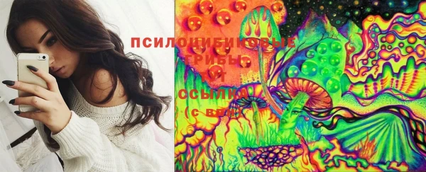 сатива Белоозёрский