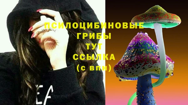 кокаин премиум Белокуриха