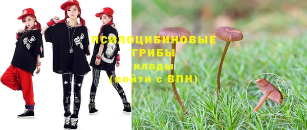 spice Беломорск