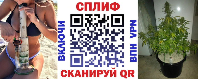 как найти закладки  Реутов  Марихуана VHQ 